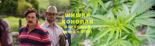 спиды Бородино