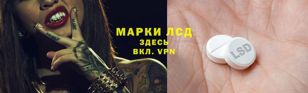 стаф Беломорск