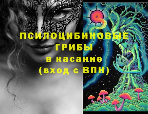 стаф Беломорск