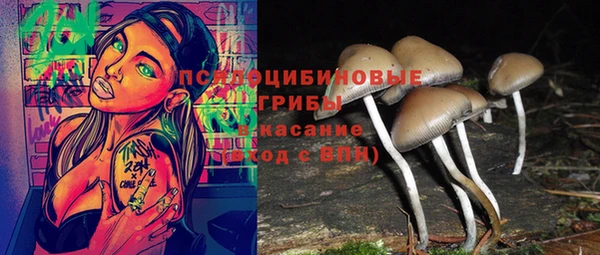 тгк Сясьстрой