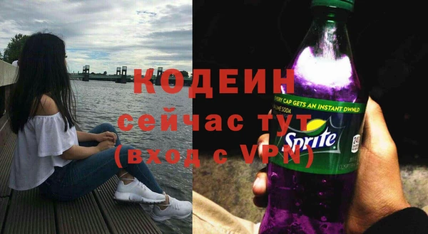 спиды Бородино