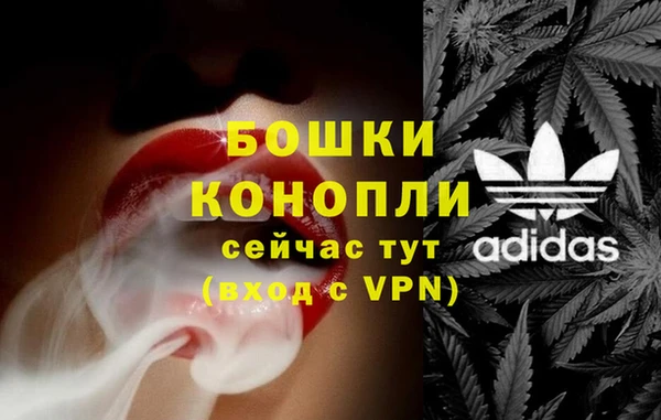 прущие грибы Баксан