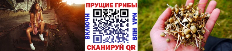 Галлюциногенные грибы Cubensis  Городец 