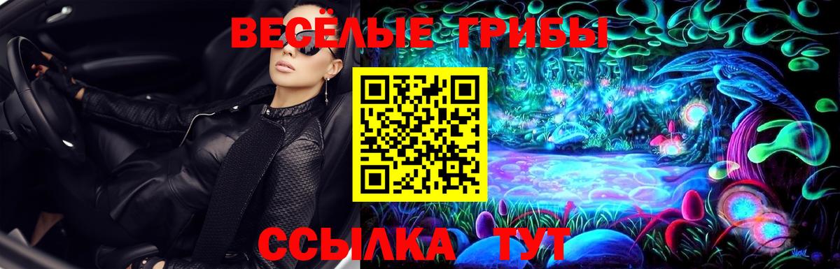 Галлюциногенные грибы MAGIC MUSHROOMS Городец