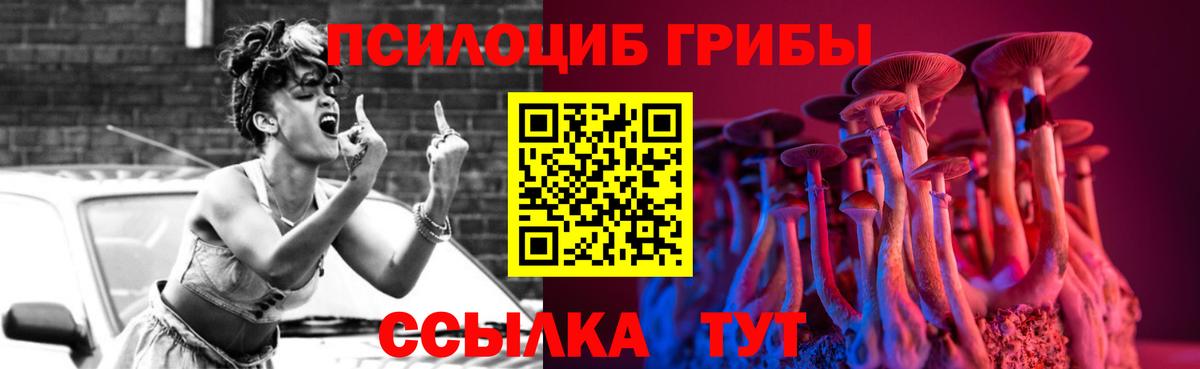 купить наркотики сайты  Галлюциногенные грибы прущие грибы  Городец  Галлюциногенные грибы Cubensis 